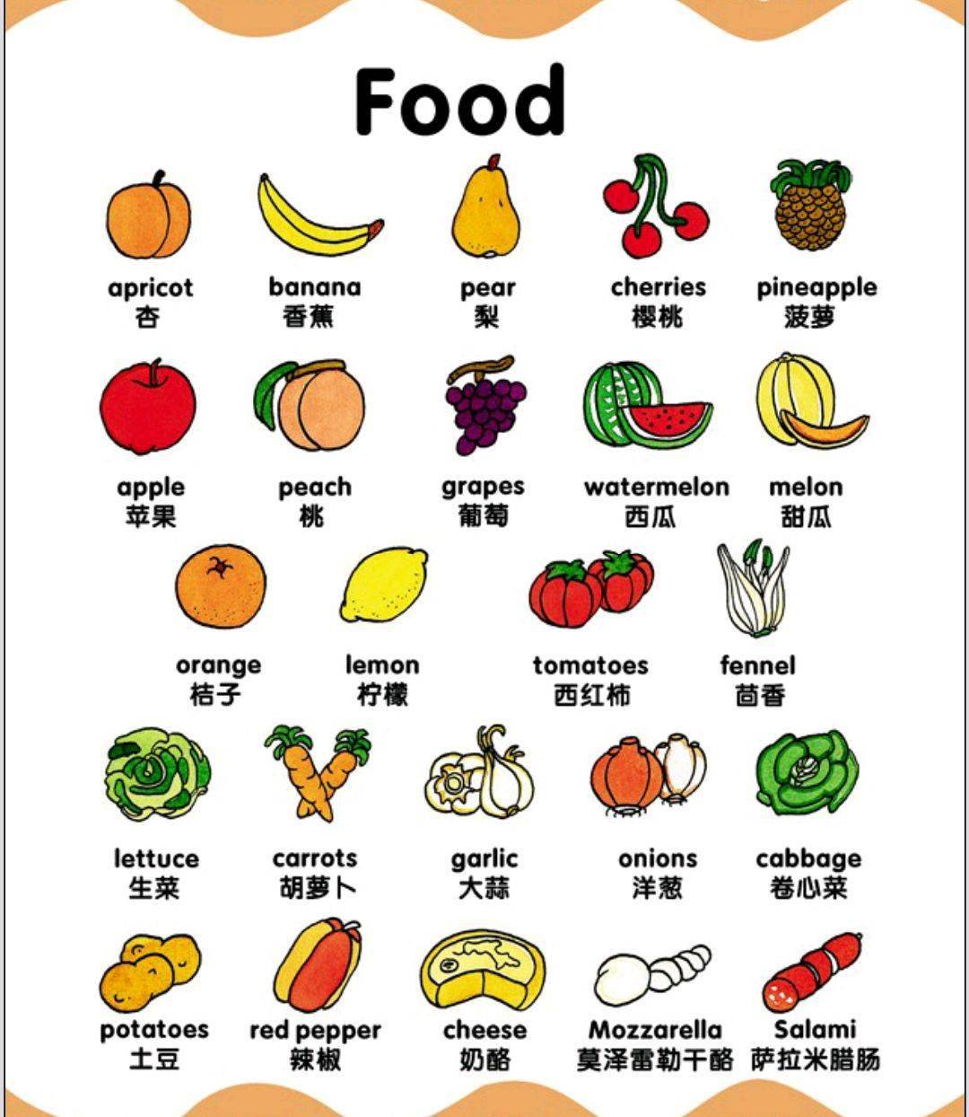 90幅图记1000个单词联想学习快记起来