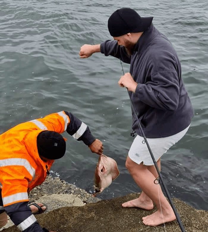 趣科普海邊釣魚抓到猙獰生物查資料後驚覺好險