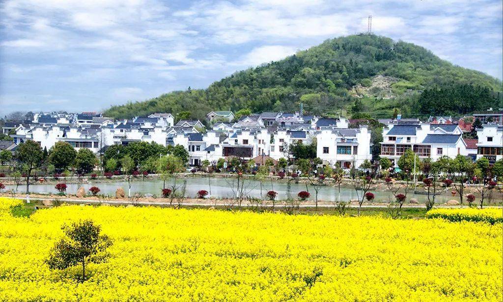 第五批江苏特色田园乡村名单公示,南京这些村庄榜上有名
