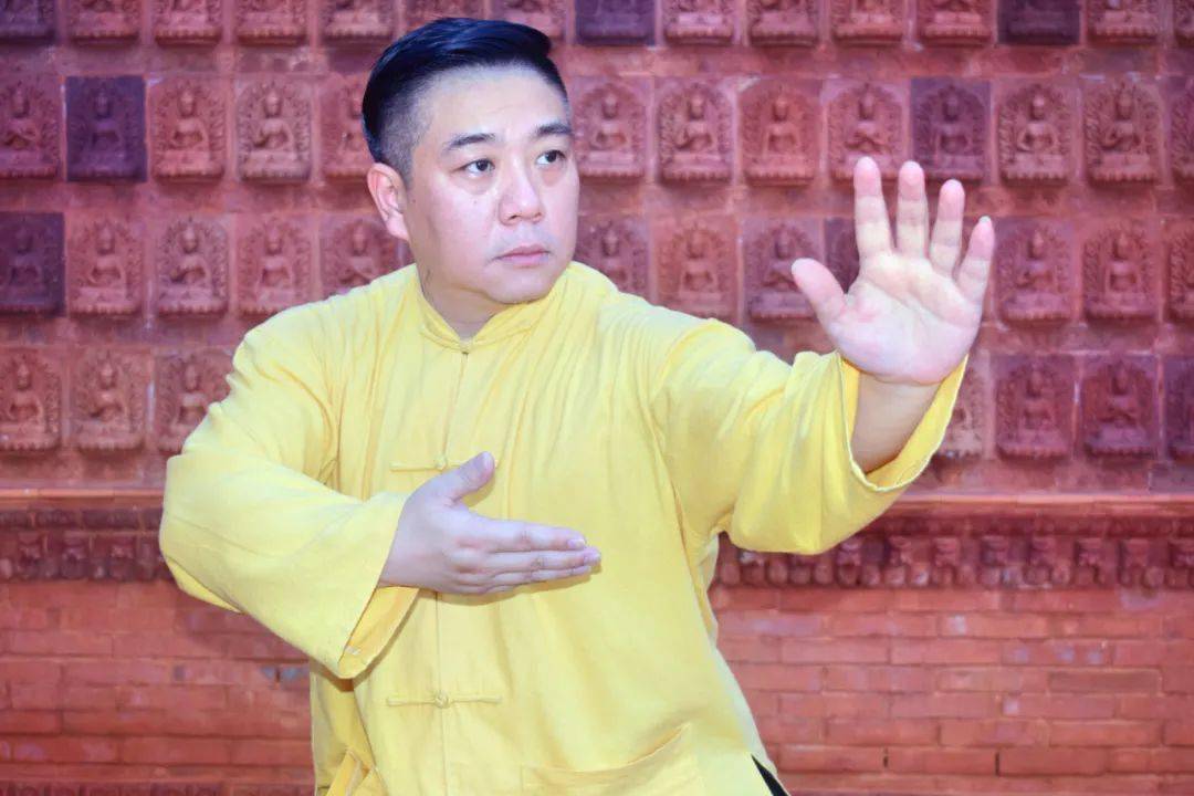 直播太极傅兴卡讲座习练太极拳常见错误分析