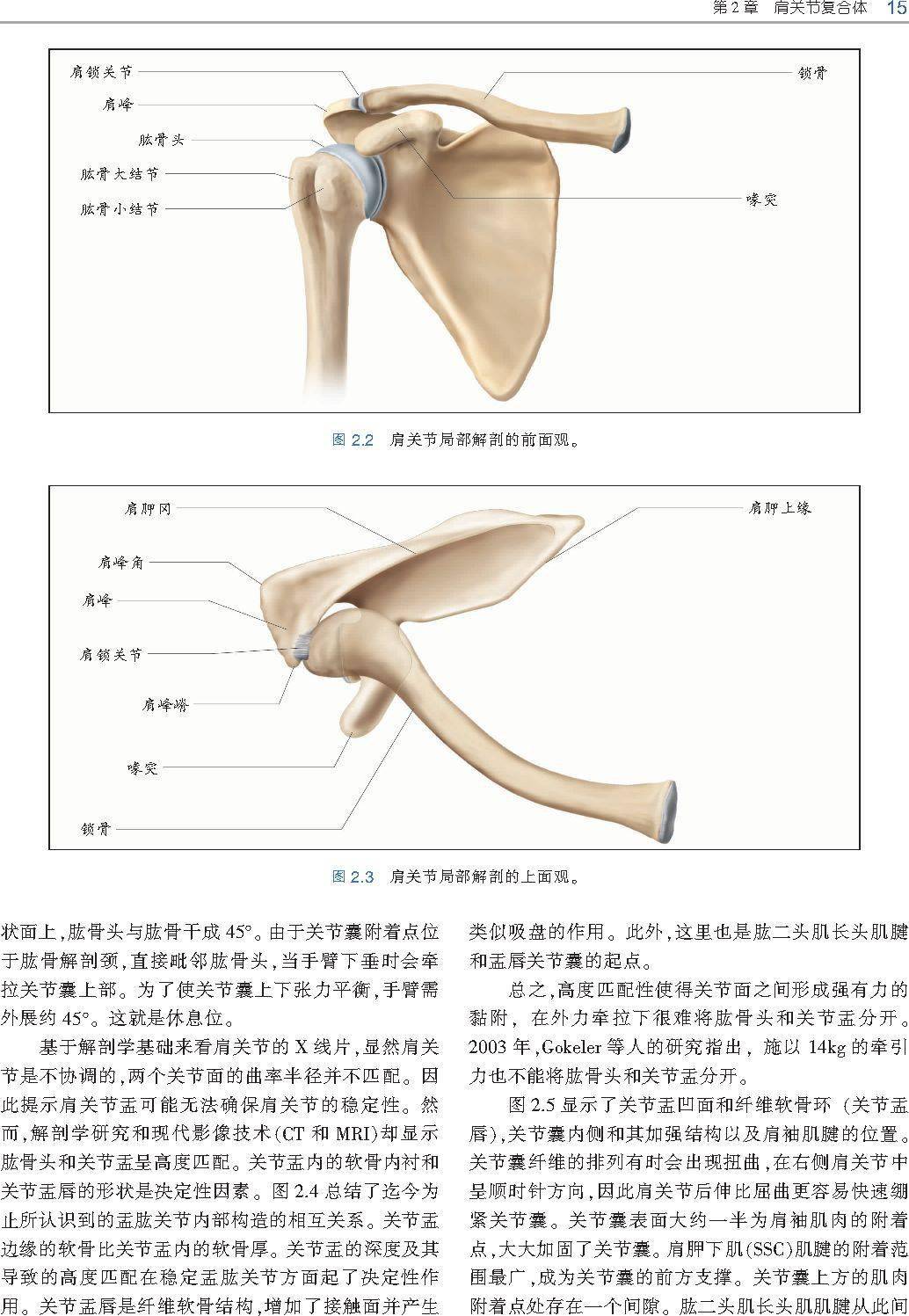 麦氏点图解图片