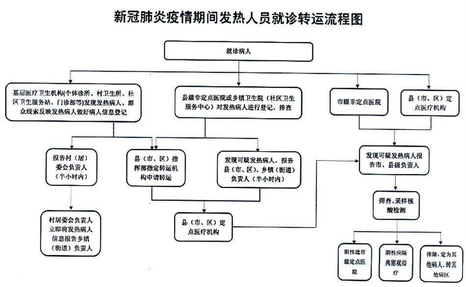 疫情防控转运流程图图片