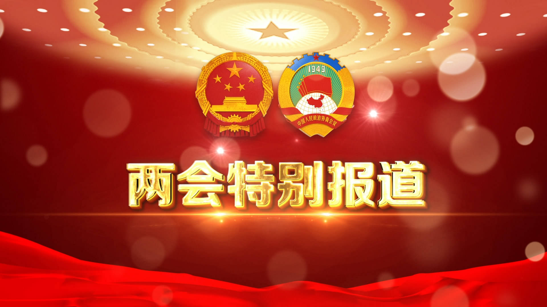 两会特别报道,代表委员话乡村振兴