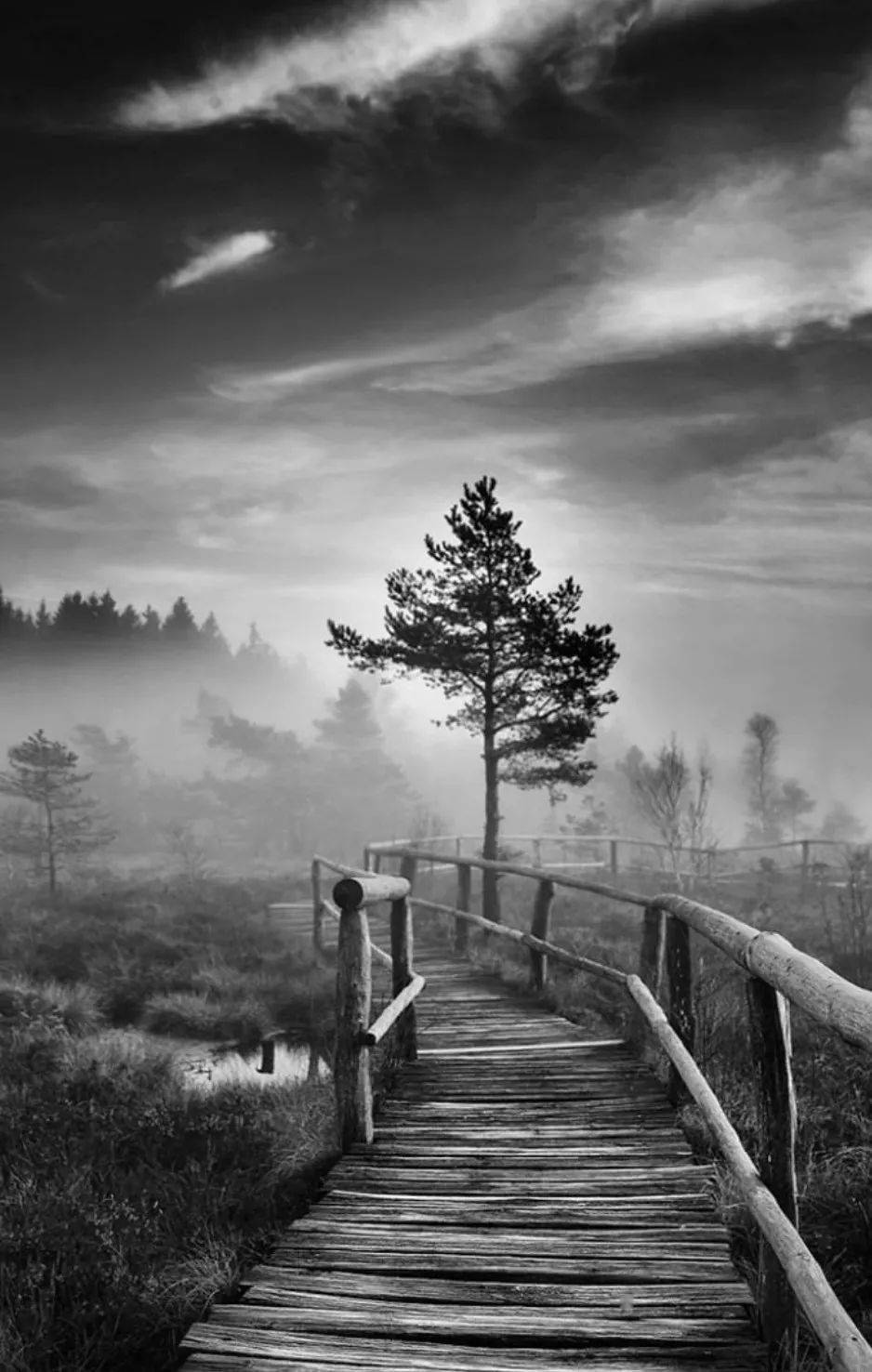 为什么他们的照片充满氛围感?推荐3位不错的小众黑白摄影师