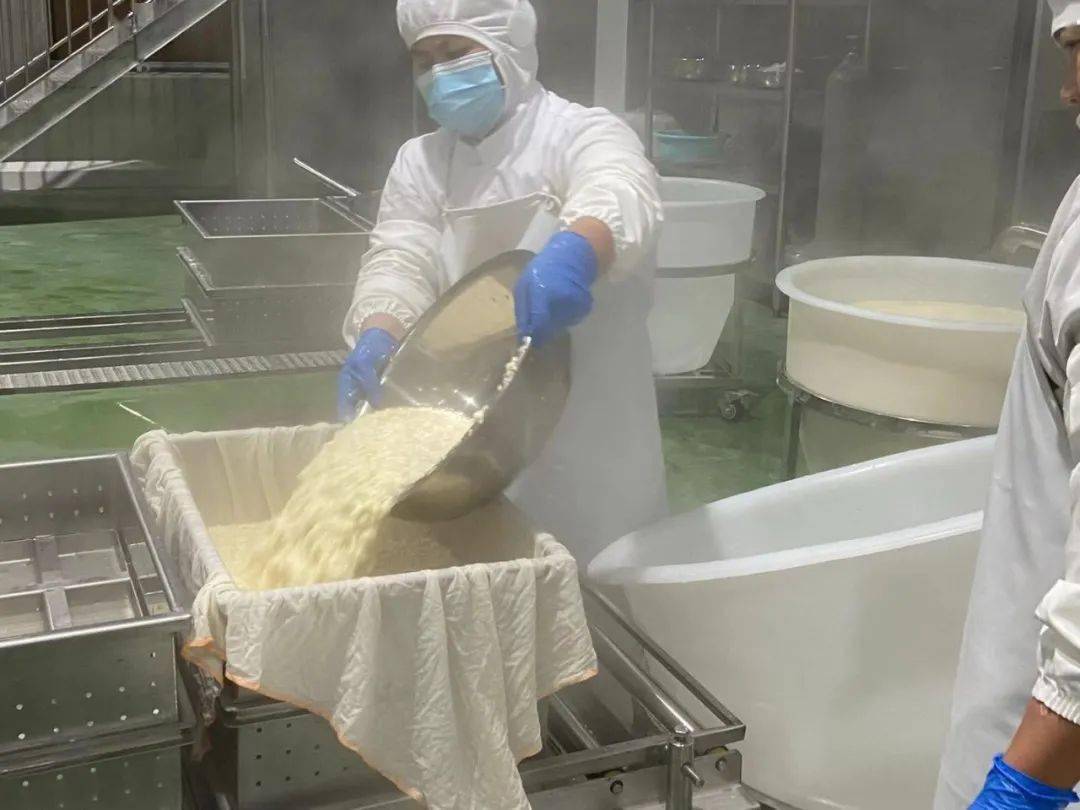 中百大厨房豆制品全新上市!