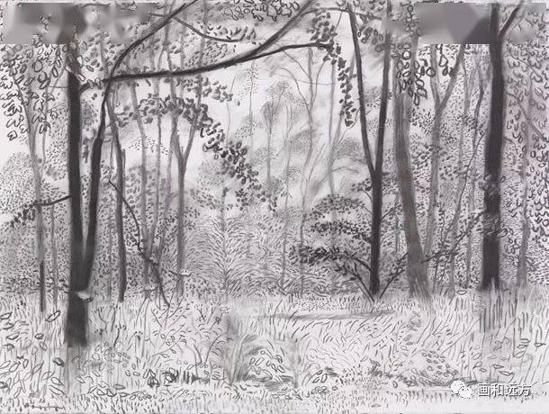 写生啦回归素描的美感大卫霍克尼素描风景作品
