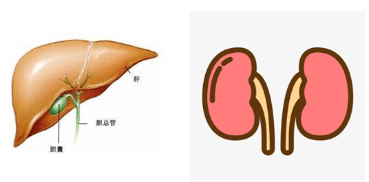 成语肝髓什么_女子洗髓功是什么(3)