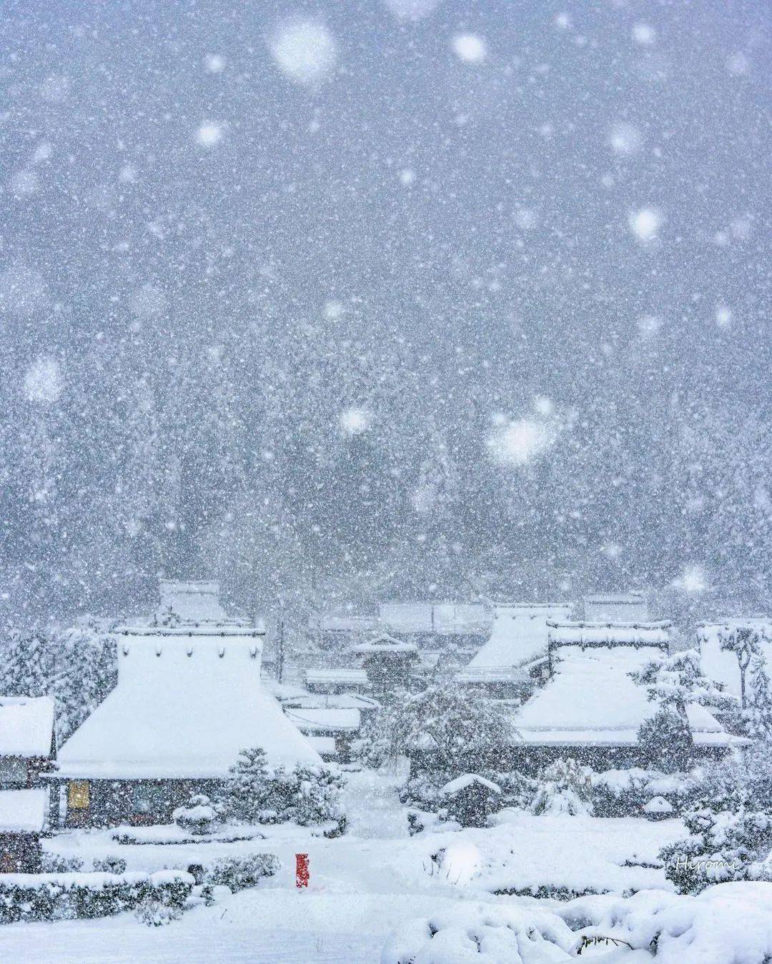 千里冰封万里雪飘