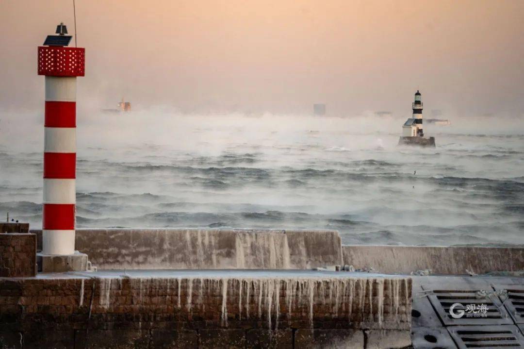 青岛日报社/观海新闻记者 宋新华 摄▲观海摄影师 董志刚 摄▲观海