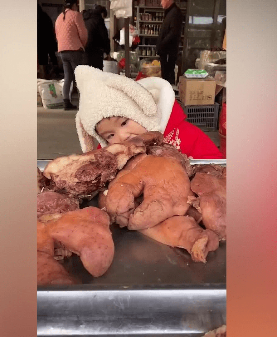 妈妈带2岁宝宝逛菜市转身发现他正猛啃猪头肉,老板:生意有着落了_网友