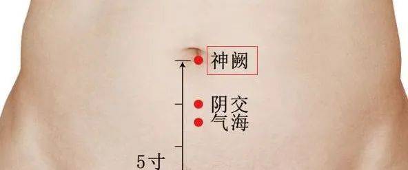 f1c4820786e940cabca8990971b23bef.jpeg