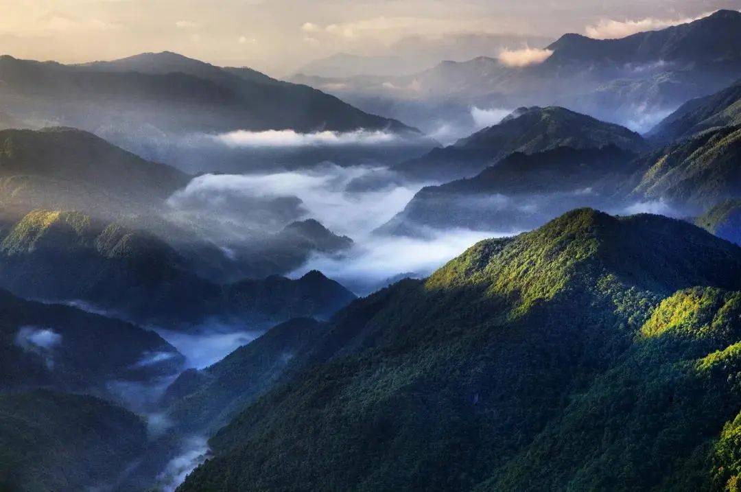 一眼万年!景宁大山深处的“醉氧仙境”,正是你向往的世外桃源!_鱼塘