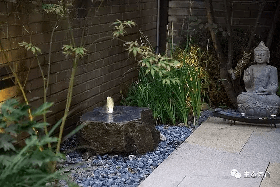 "禅意小院"让民宿撑起康养_庭院