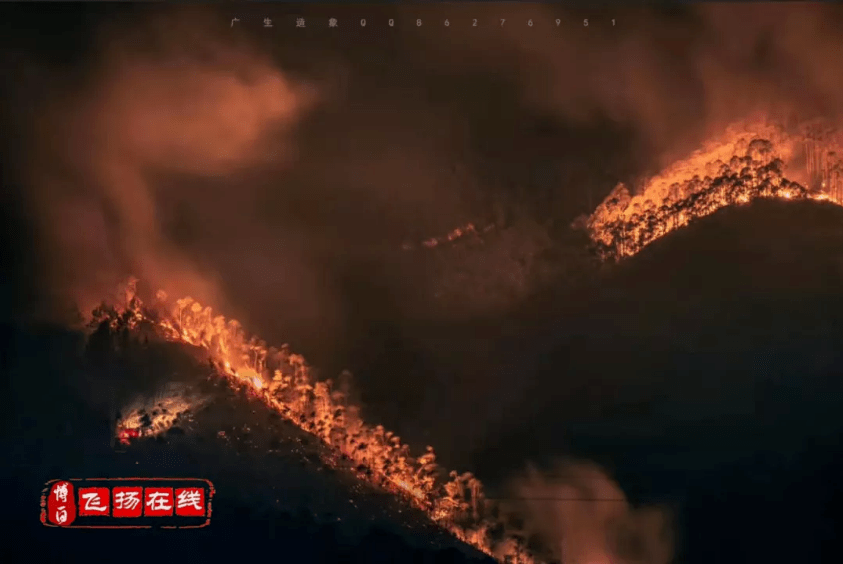 飞凤岭浴火重生 再次爬上山顶纵观全貌 博白