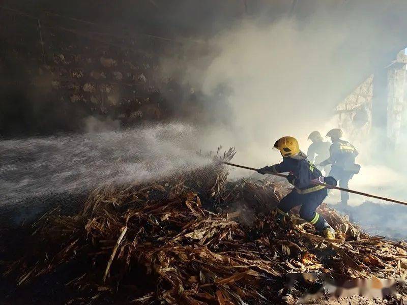 神兽出笼了这件事荆州家长可要注意