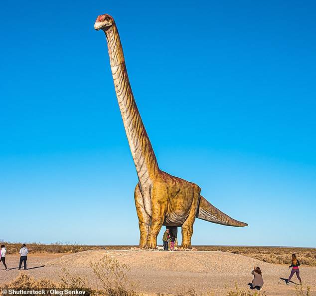 研究阿根廷出土9800万年前恐龙化石或为史上最大陆生动物