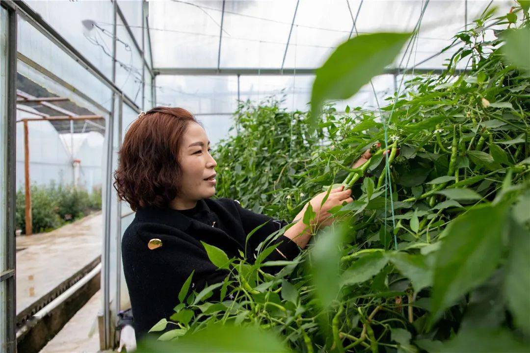 致富经几点播出(致富经什么时间播出)
