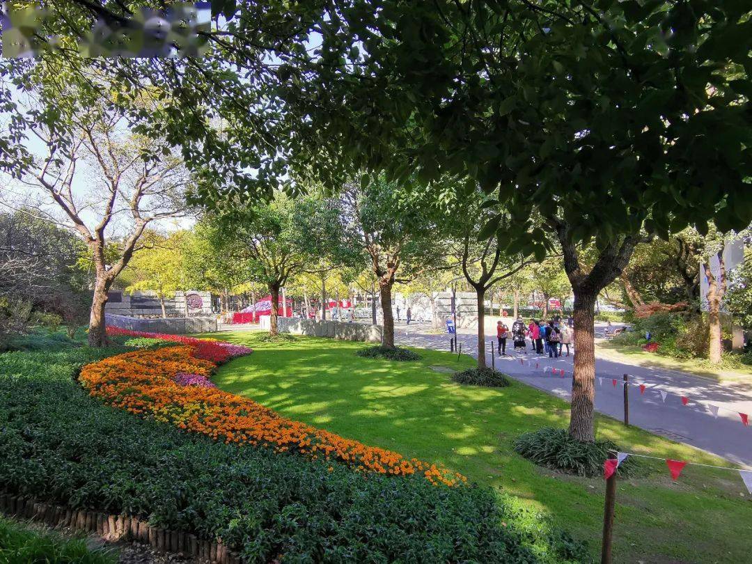 盛橋公園,虎林苑基本級公園(2座)楊泰小遊園美蘭湖公園,菊盛公園