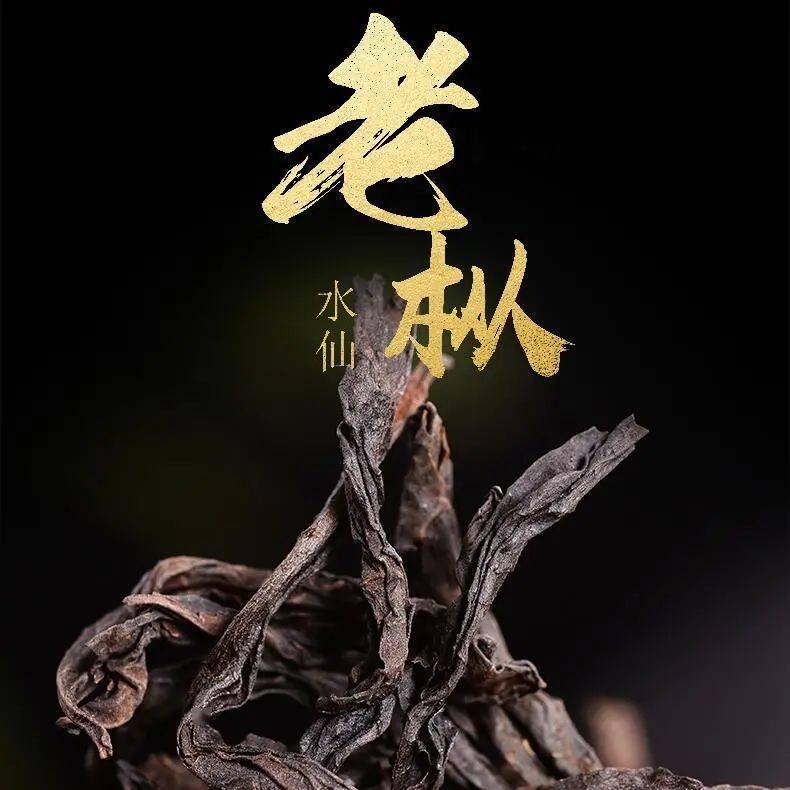 大红袍为什么被称为“茶中之王,万病之药”!