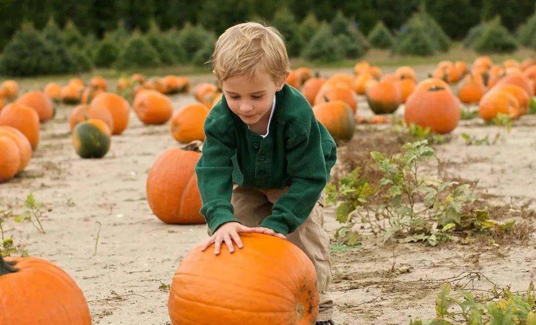 送南瓜 | 10分钟亲子游戏室