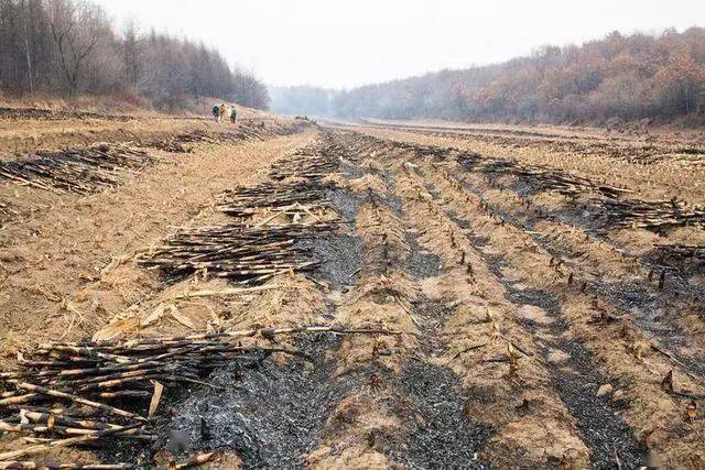 四大原因导致农村耕地减少,国家将严查三大问题,三类人将受处罚