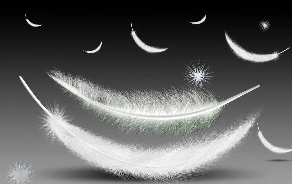 诗歌韩绍学天使的羽毛