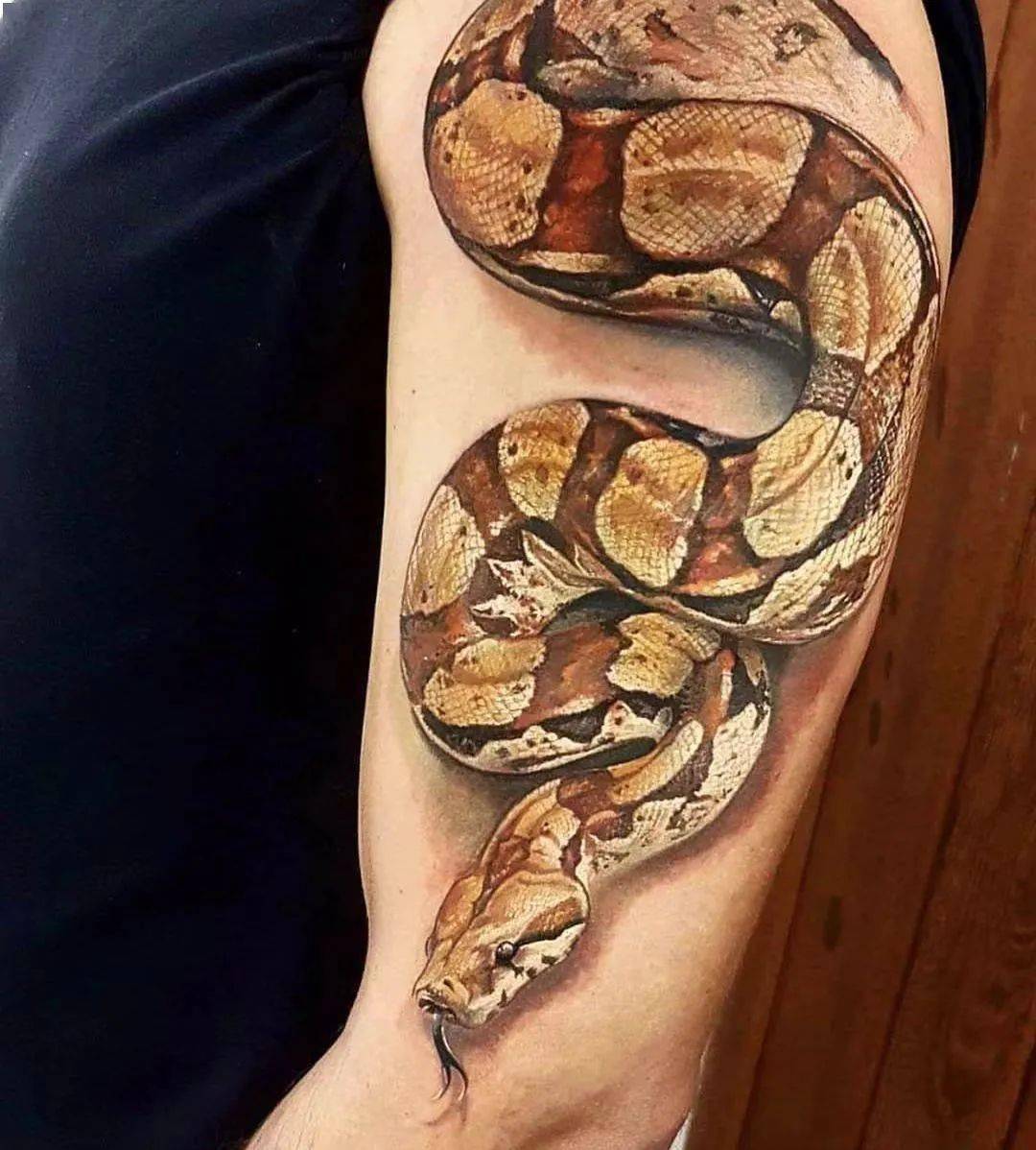 今日纹身作品一一大蟒蛇 - 知乎