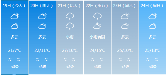 白沙每日工作动态(2021年1月19日)