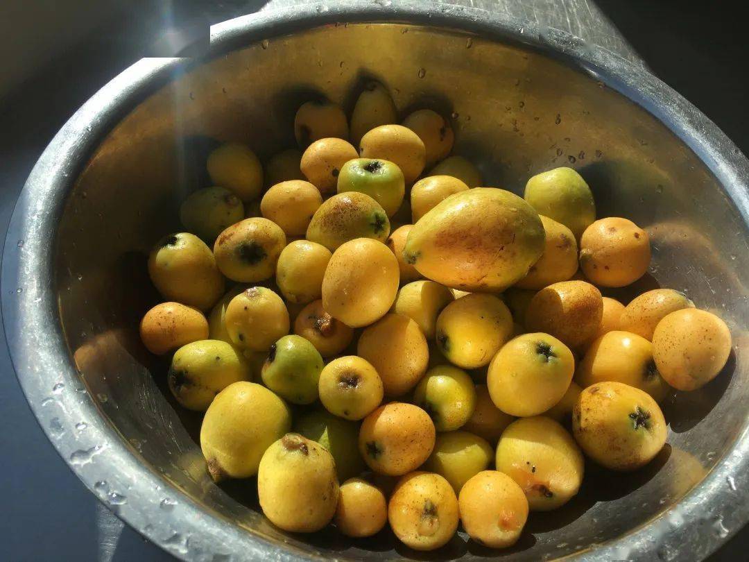 【美丽家园】潞江坝收费站的丰收季(3篇)