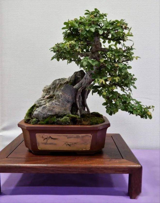 公主抱还是熊抱?怎么抱石才能抱得好