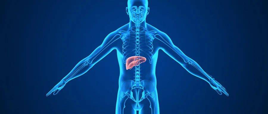 如何看身体脉象 04e2780502e64a66bcff9946fbce302c.jpeg