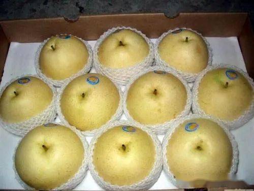 本公众号温馨提示大家:买卖双方请谨慎合作,建议互相深入了解后再交易