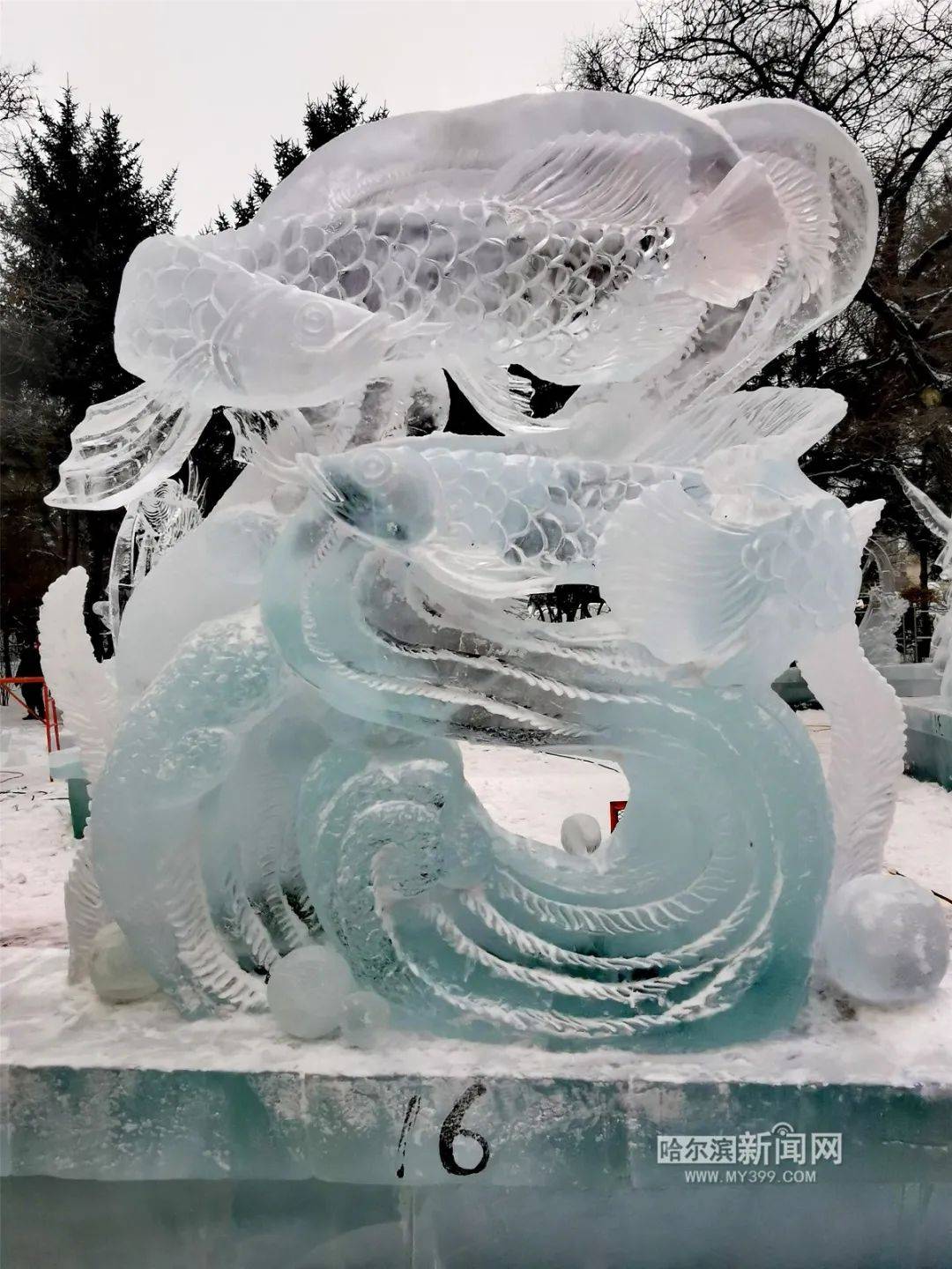 专攻雕塑的研究生小哥参加青年专业冰雕大赛发现冰坯里有条鱼之后神来