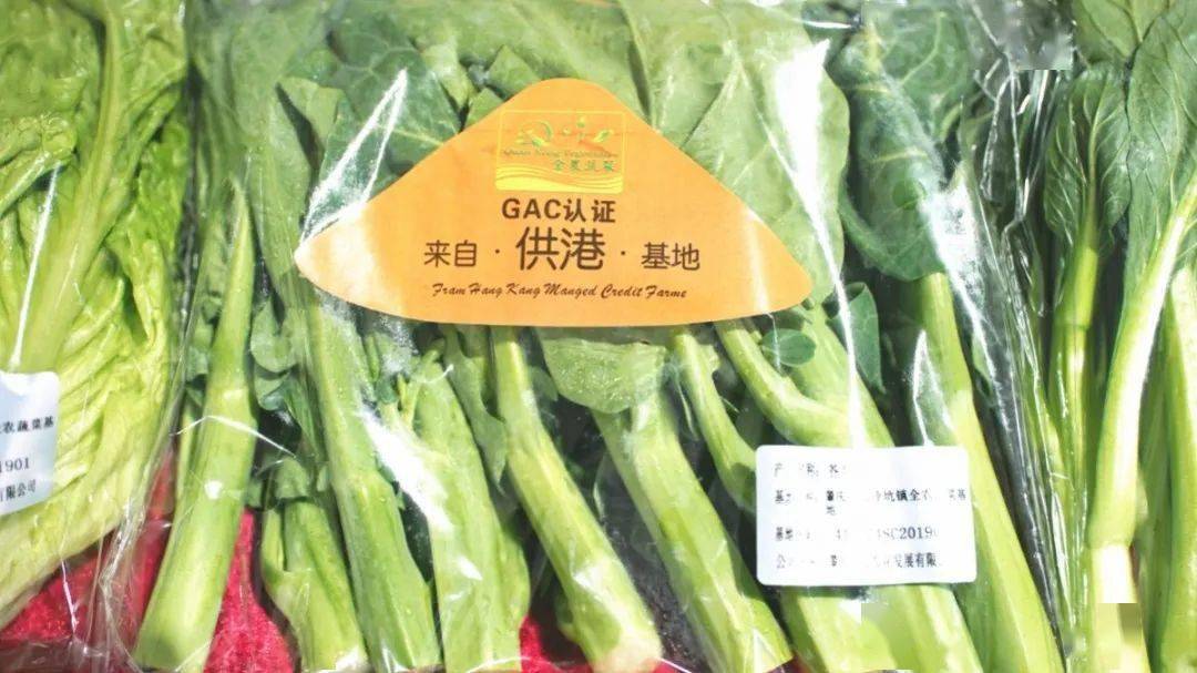 畅通道扩平台优服务怀集县优质蔬菜直通香港暨大西南农产品进出口服务