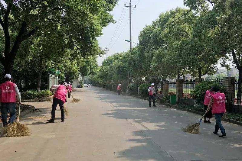 美丽家园美好生活瓜沥镇明朗村团结一心建设宜居美丽家园引领文明美丽