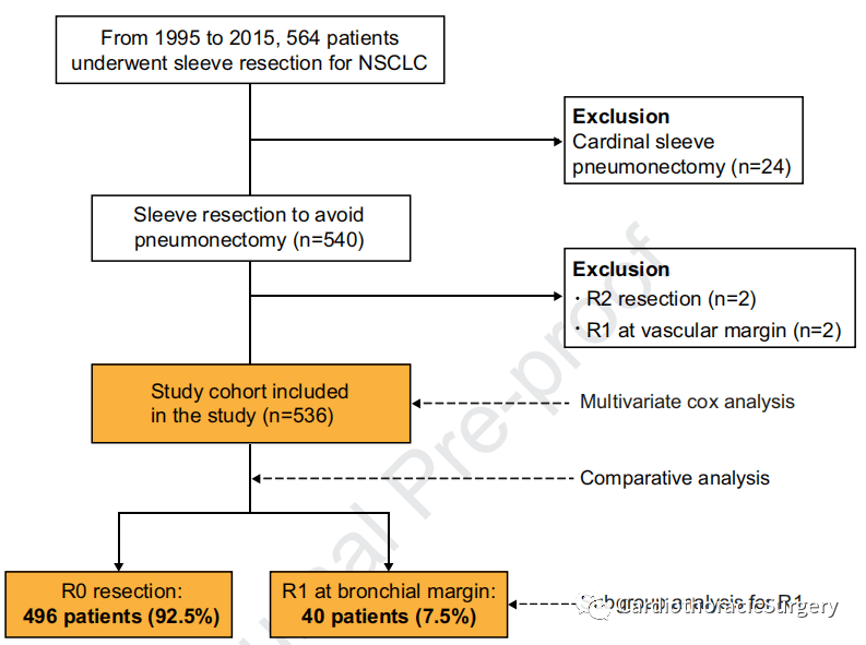 非小细胞肺癌支气管袖状切除术后镜下微小残留(r1)