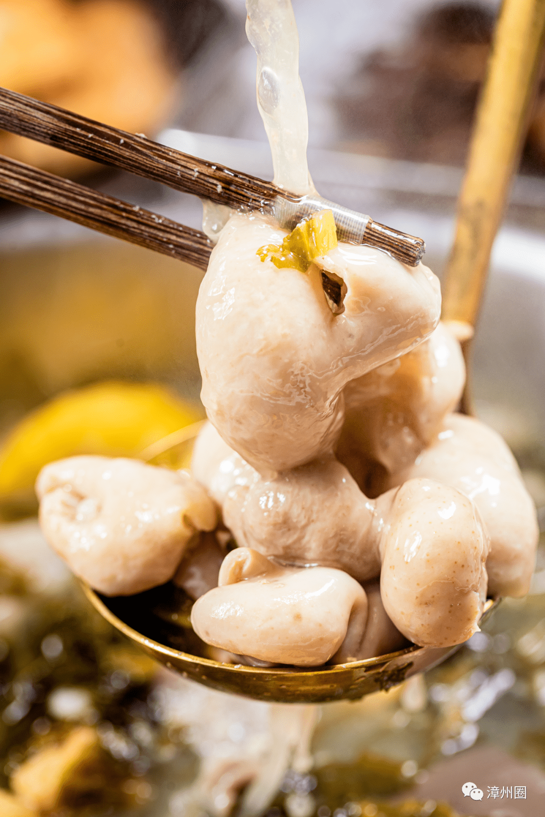 每天只卖100米红了7年的大肠咸菜火锅又开分店了漳州人怎么吃都吃不腻