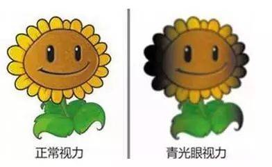 b6eb83539cc84c9e8757c10893127685.jpeg