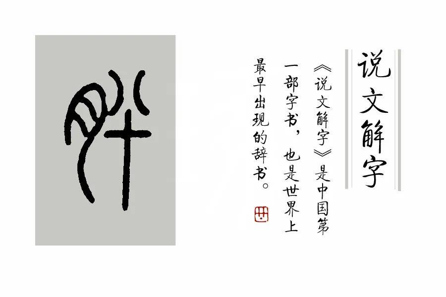 說文解字第377課文字學說要成為博士先搏鬥