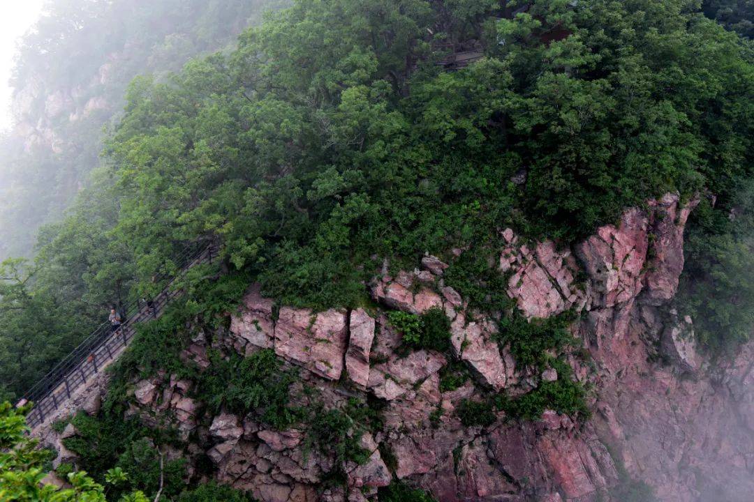 这几天刷屏的河南济源，是座什么样的城？｜草地·神州风物