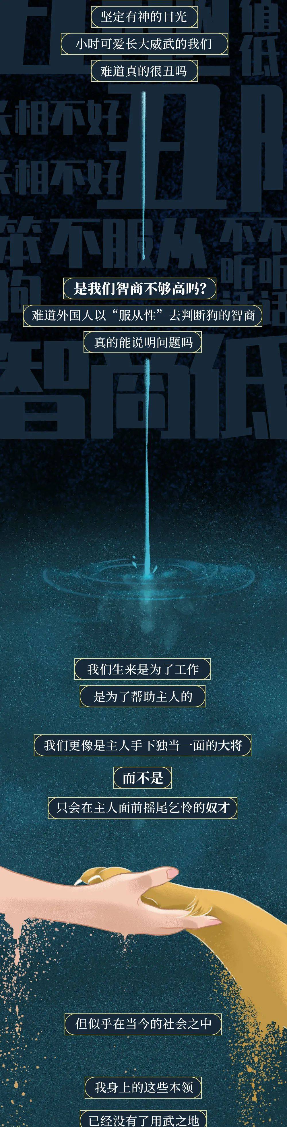 你憑什麼看不起中國土狗？ 萌趣萌寵 第11张