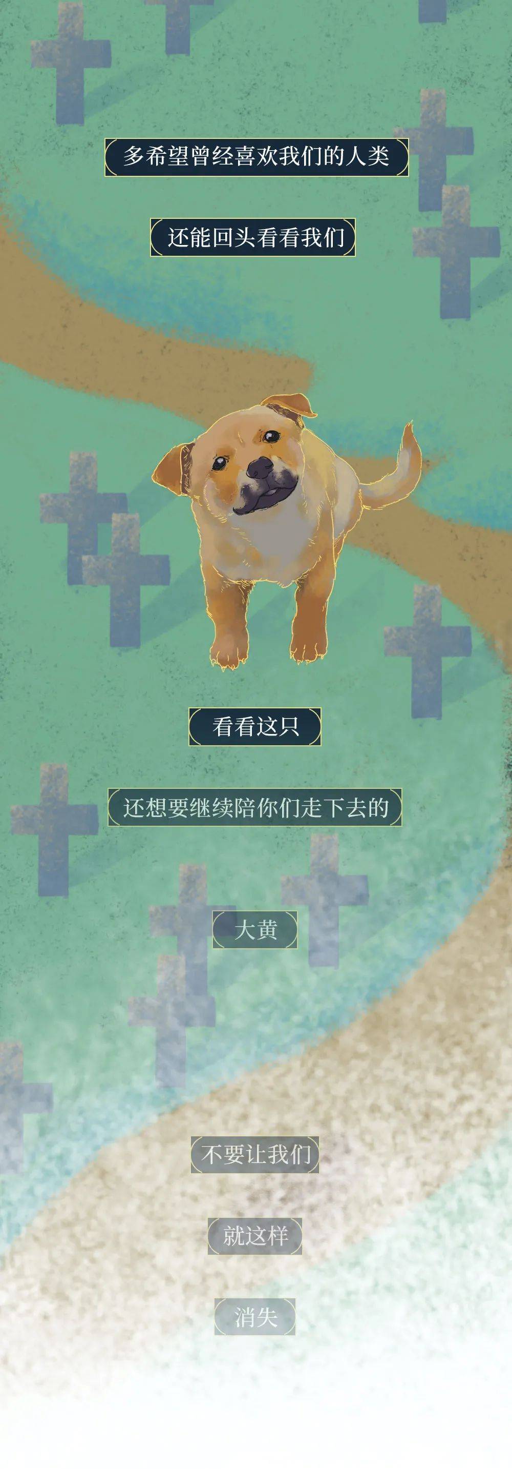 你憑什麼看不起中國土狗？ 萌趣萌寵 第16张
