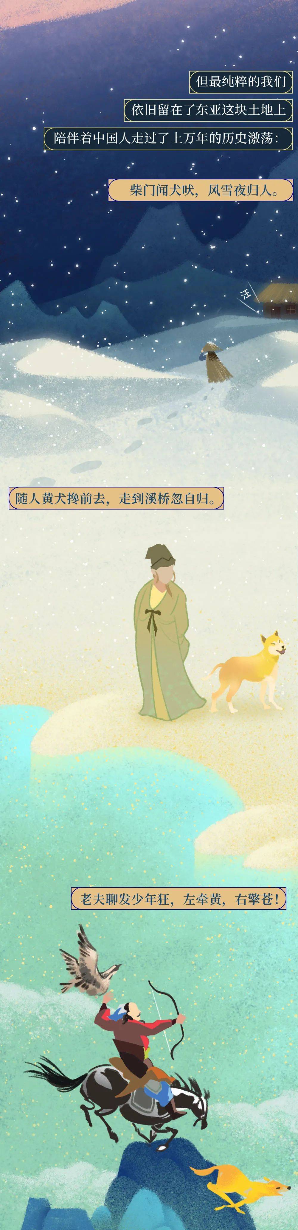 你憑什麼看不起中國土狗？ 萌趣萌寵 第6张