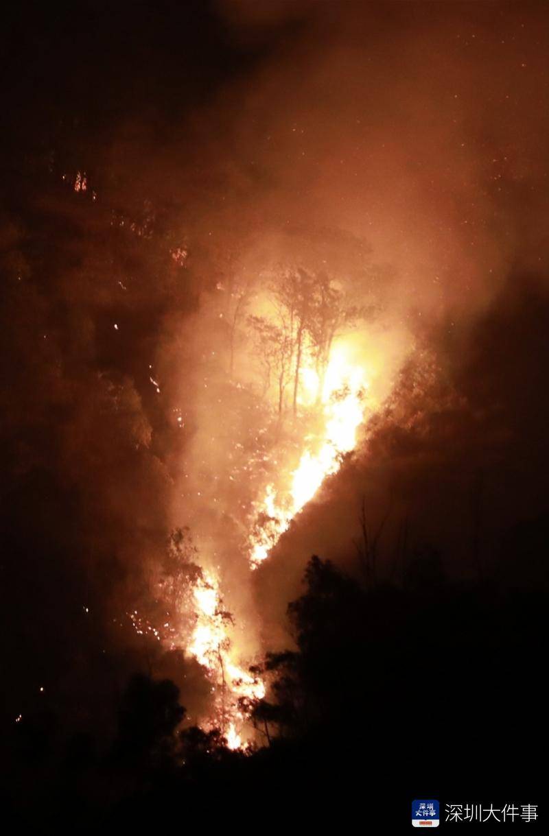 深圳南山山火最新火情通报:山火已初步得到控制