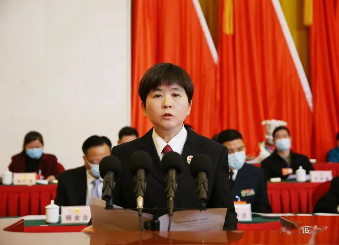 【市州两会】娄底检察工作报告_李芳芳