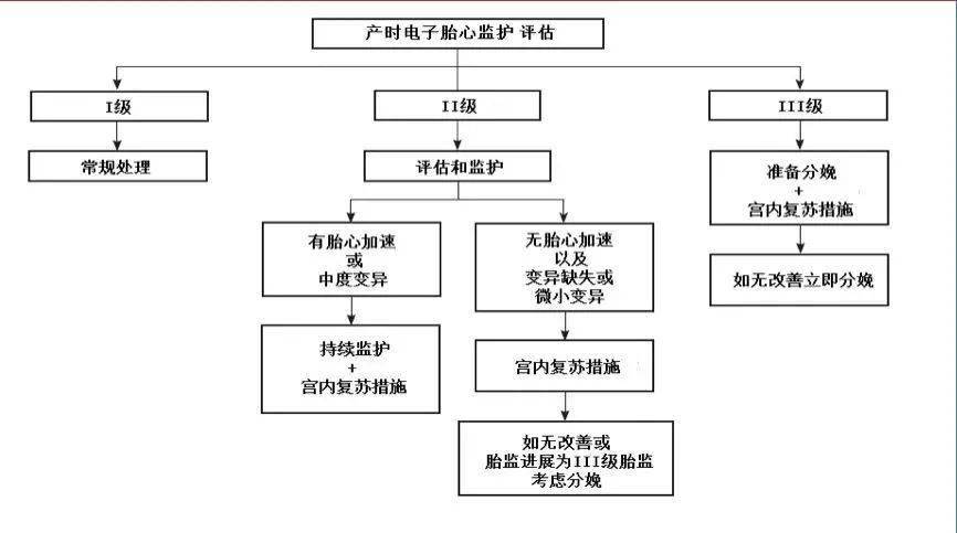 胎心监护判读:评价指标,图形分析,检测时机,全图文解读!