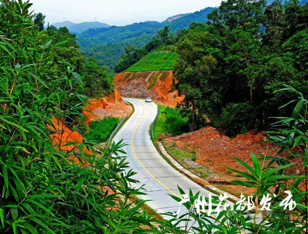 好消息！打通两条村，花都梯面红联路通车！