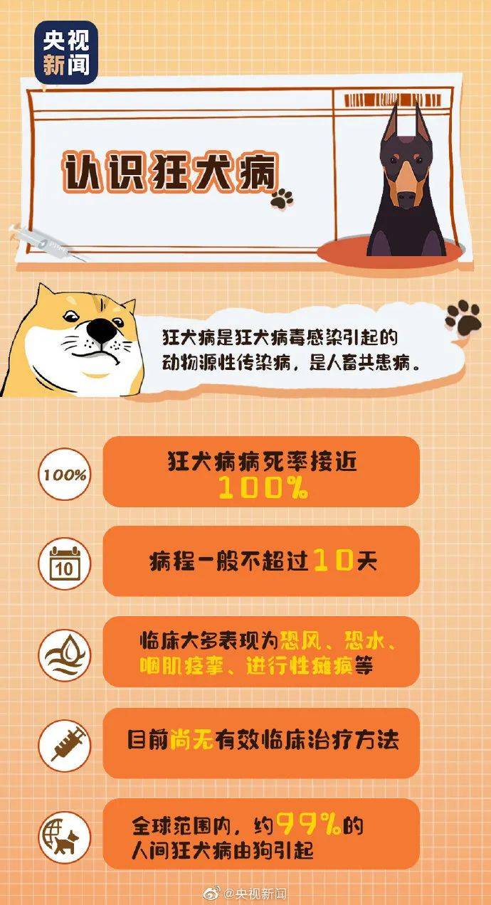 不小心被猫抓伤 我会得狂犬病吗 猫咪