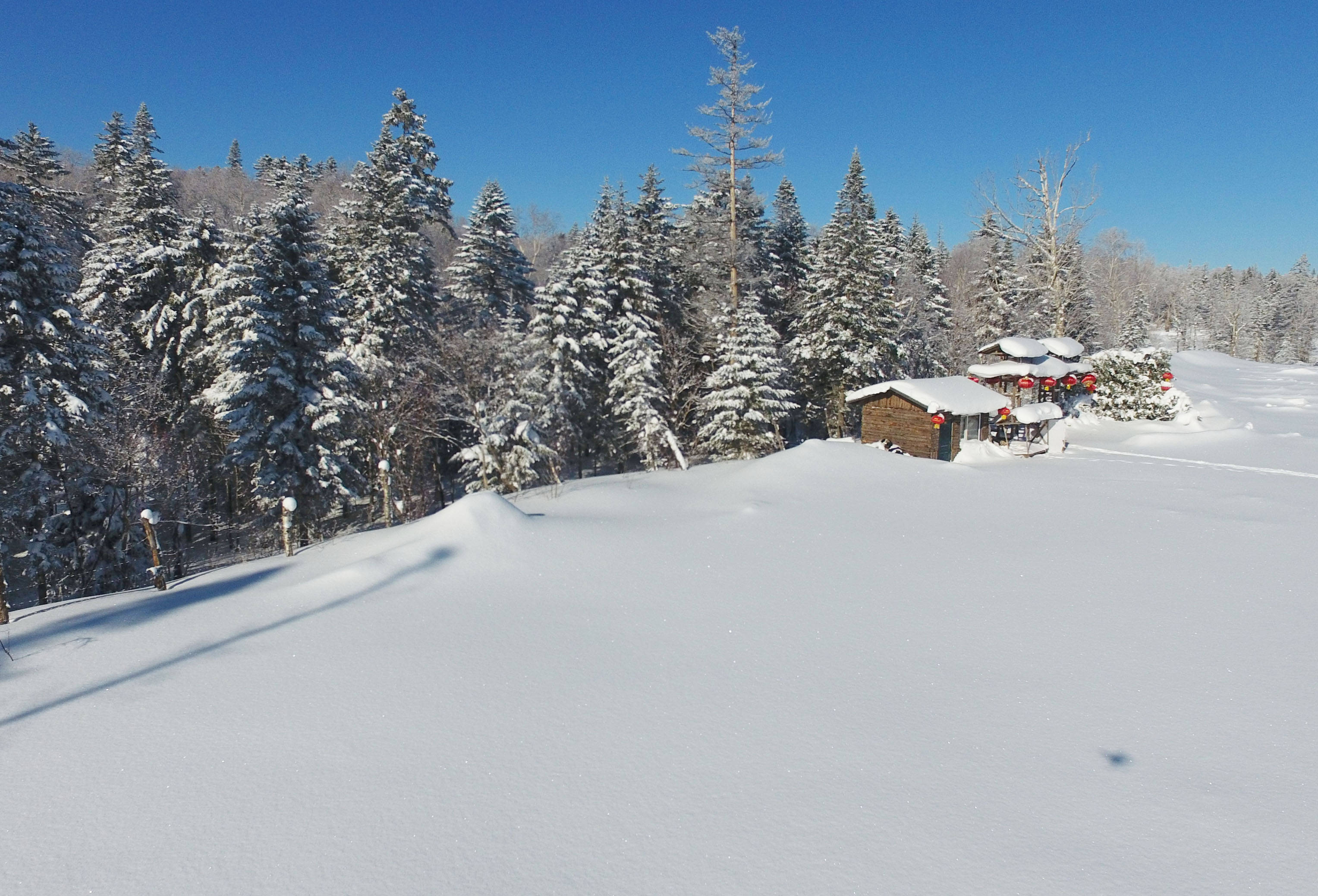 雪乡国家森林公园冬日美景