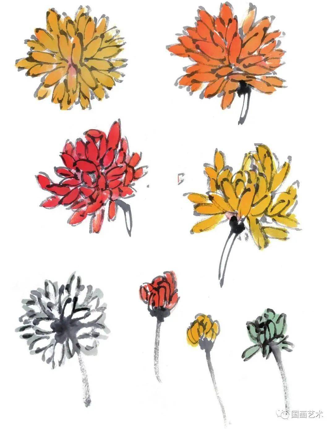 图文教程:简单易学的写意菊花,菊叶画法步骤